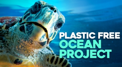 Plastic Free Ocean Project Energy Cleantech F6s Profile