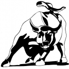 Internet Bull Report