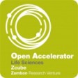 Open Accelerator -Call for Projects 2018