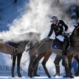 EQUISMART.TV