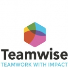 Teamwise