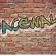 Facewall