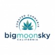 Big Moon Sky