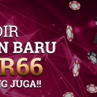 rajawaliqq rajawaliqq
