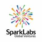SparkLabs Energy Accelerator 2019