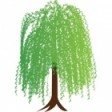 Willow Financial Consulting