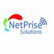 NetPrise Solutions