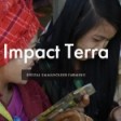 Impact Terra (Golden Paddy)