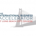 Blockchain Accelerator - IBA