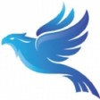 Seo Denver