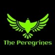 Peregrines Innovations
