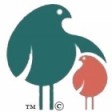 IBCBIRDS
