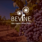 Bevine