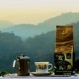 Gorilla Conservation Coffee
