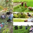AGROTOURISM UTAYAPAD AND SEVA KENDRA