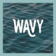 Wavy Travel Inc.