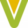 Visionaris