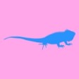 Blue Iguana Records.