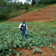 Flour to Feed Congolese Future, FFFCo