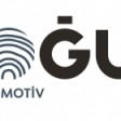 Dogus Otomotiv 2020