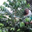 BUFCOFFEE LTD