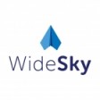 Widesky1