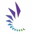 Capital Innovators Fall 2020 Cohort