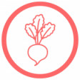 Radish Health