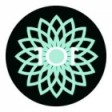 101 Sustainability