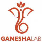 GaneshaLab Call 2020 - Open + Healthcare