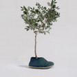 Biophilica