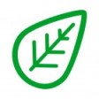 RootCamp #2
