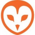Barn Owl