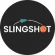 Slingshot Mentoring