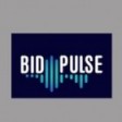 BidPulse.io