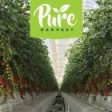 Pure Harvest Smart Farms
