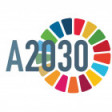 Accelerate2030 Argentina