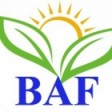 BAF ICT Solution