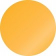 Physalis
