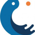 PECH Network Services