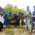 MikokoUjamaa local roots global branches