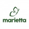 Marietta Bio