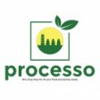 Processo