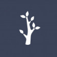 Silvertree