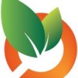 Geocampo farmer´s IOT suite