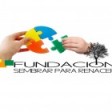RENASER