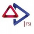 egabi FSI