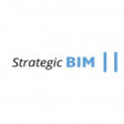 Strategic BIM